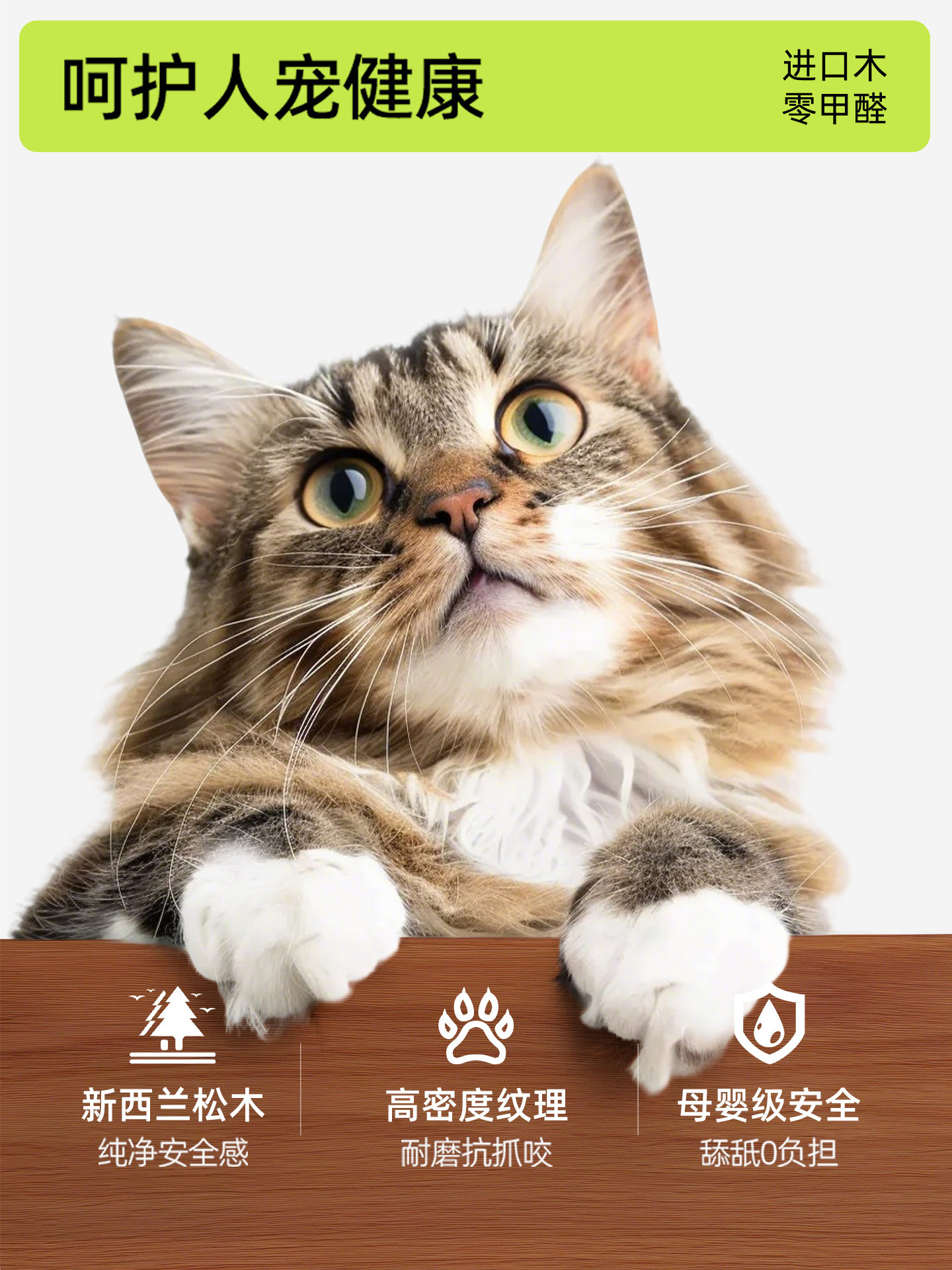 First color medieval style cat - Pet Supplies First 评论和价格