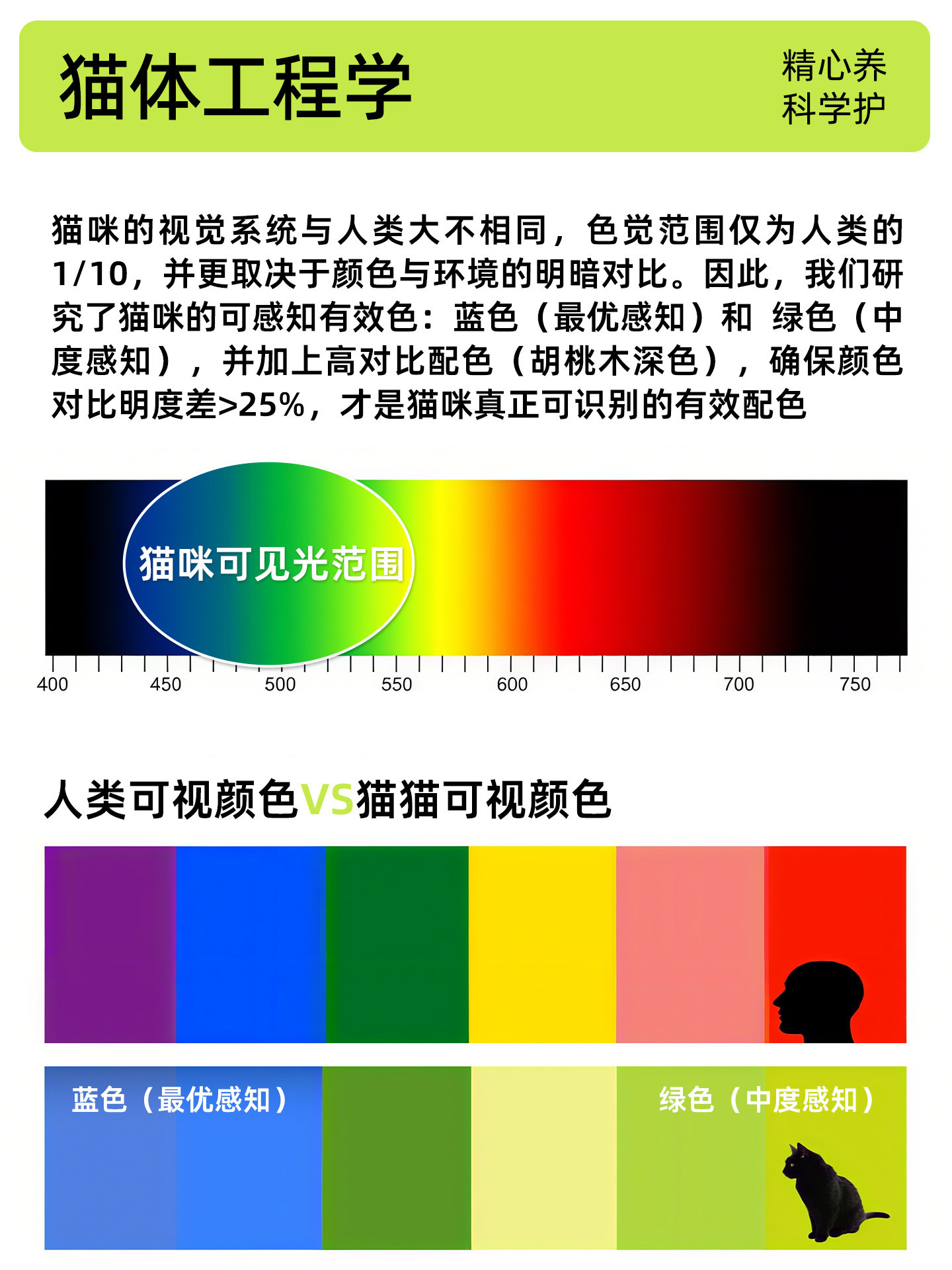 First color medieval style cat - Pet Supplies First 评论和价格