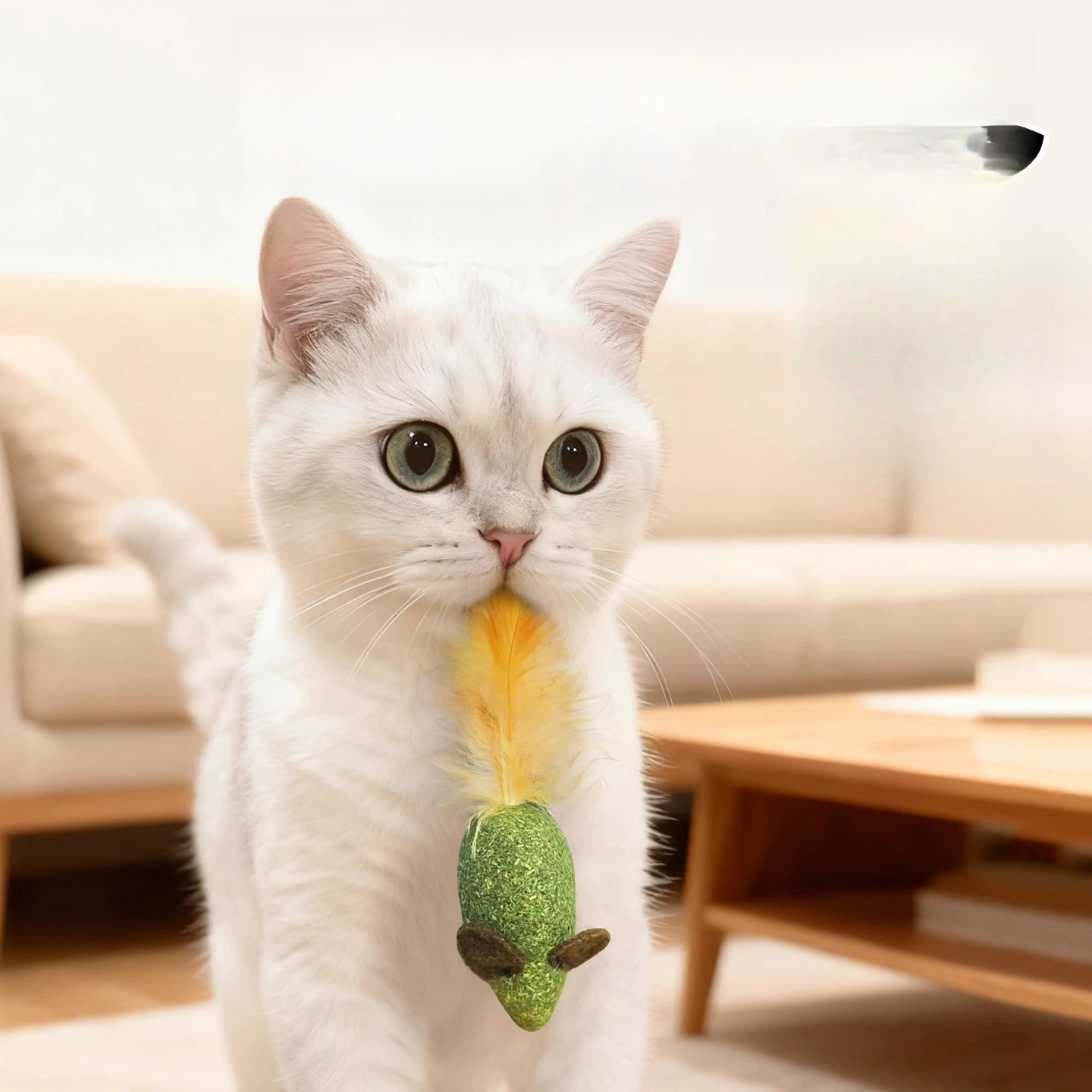 Toy Set Interactive Teaser Rod - Pet Supplies Young 评论和价格