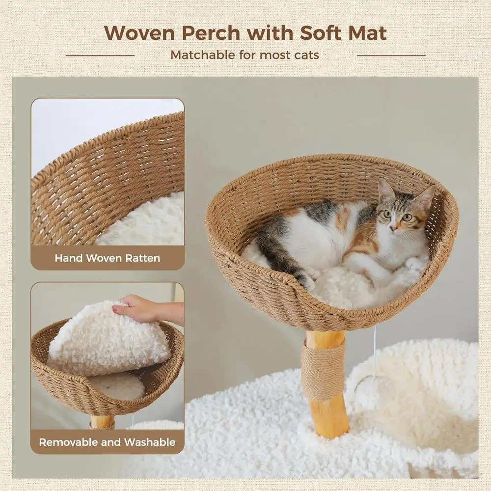48.5 Large Solid Wood Cat Towe - Cat Scratching Post 评论和价格