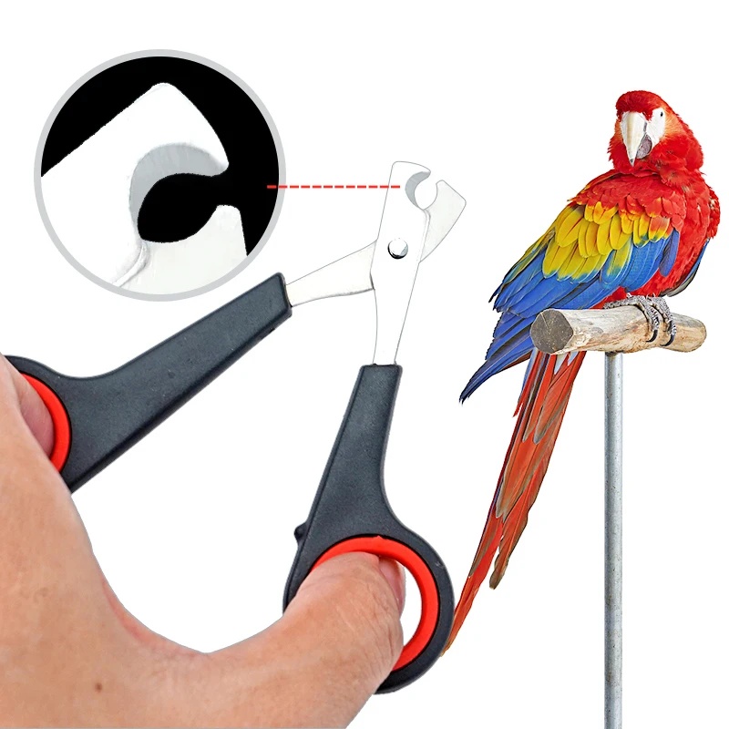 12cm Pet Parrot Nail Scissor D - Dog Grooming Clippers 评论和价格