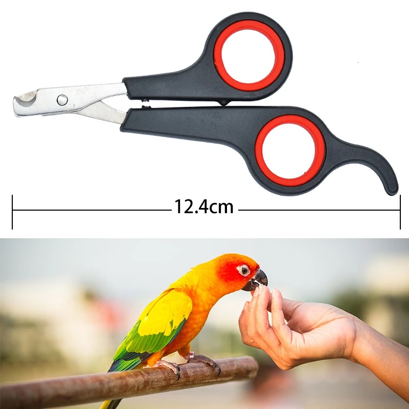 12cm Pet Parrot Nail Scissor D - Dog Grooming Clippers 评论和价格