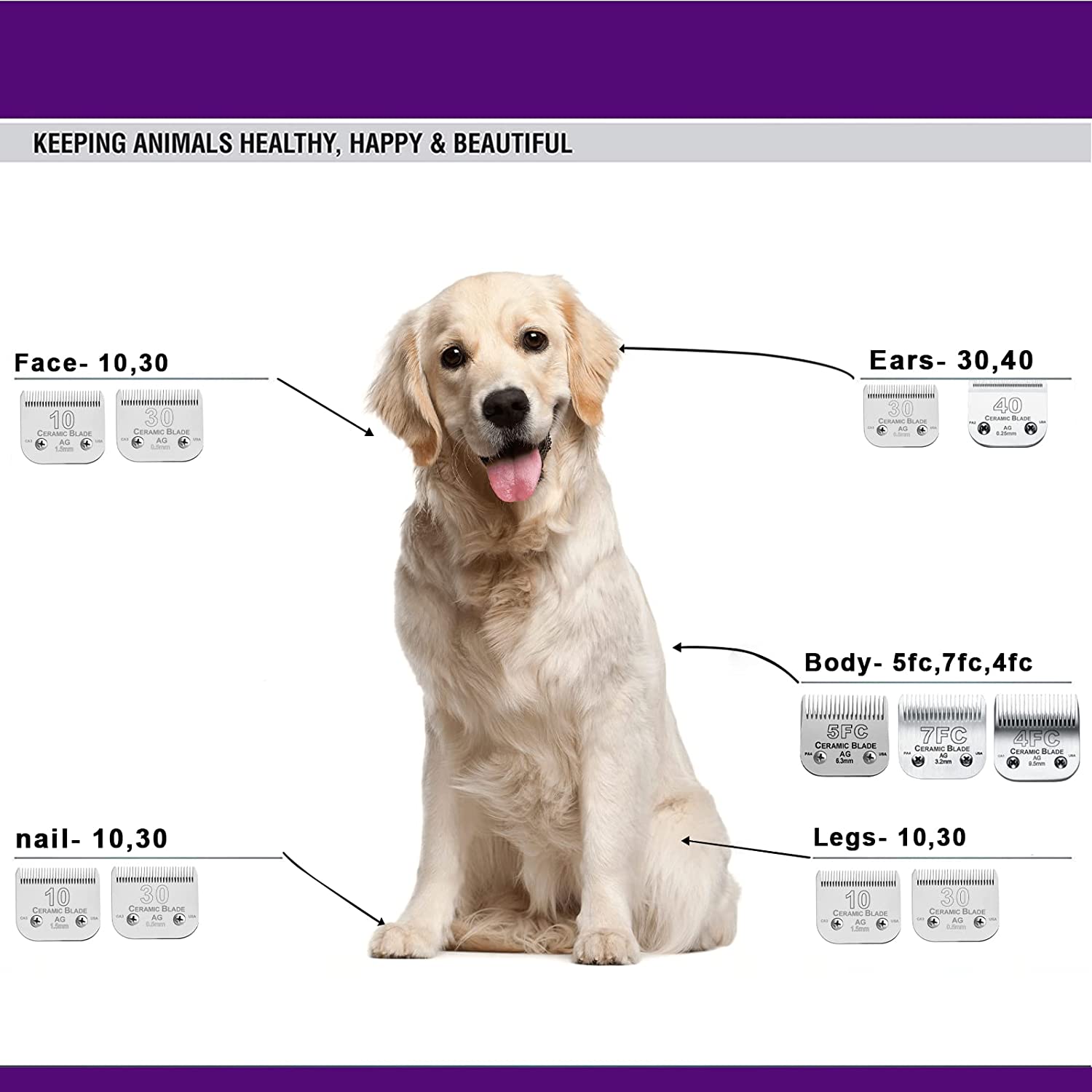 5FC Detachable Pet Dog Cat Gro - Dog Grooming Clippers 评论和价格
