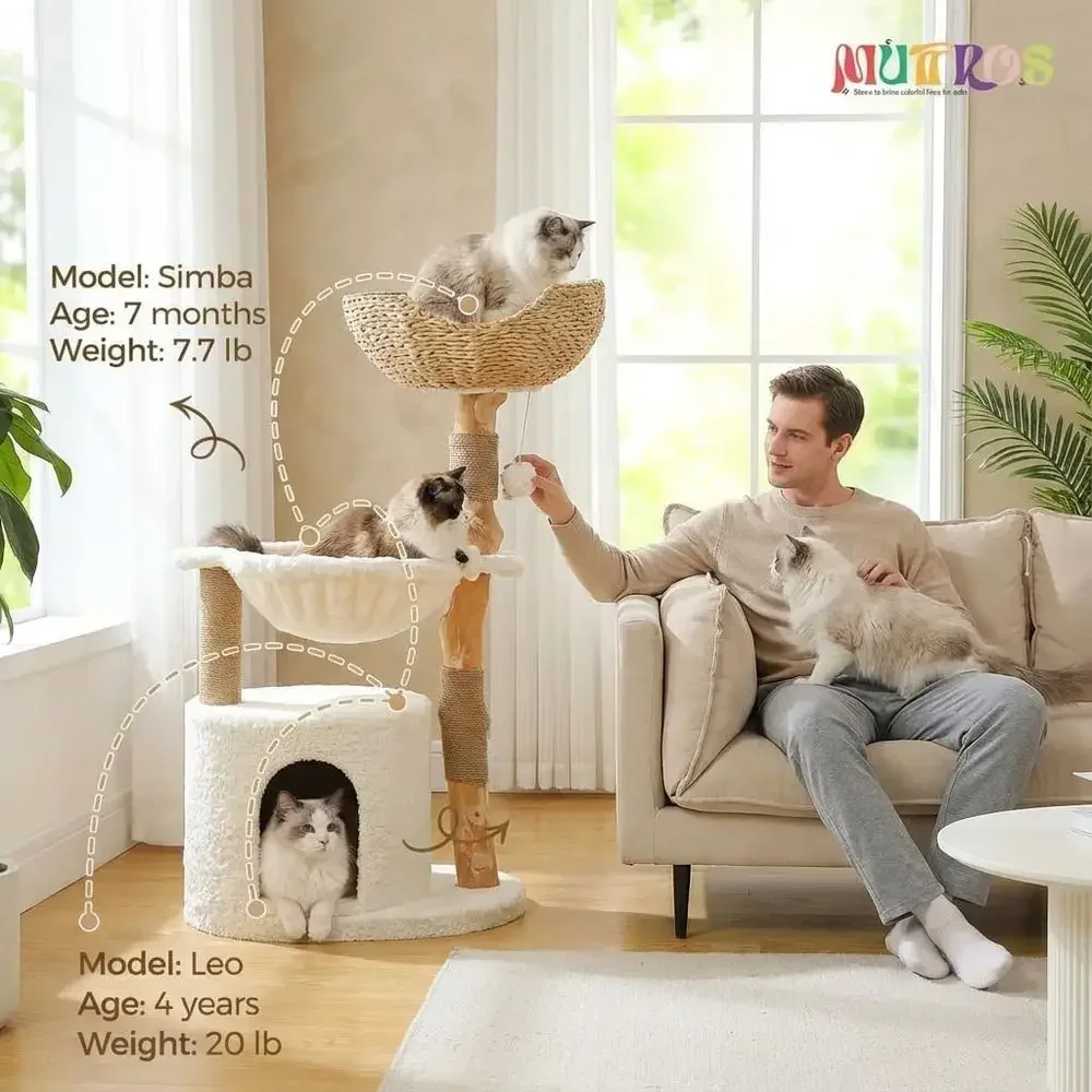 Large Cozy Cat Tree with Real  - Cat Scratching Post 评论和价格