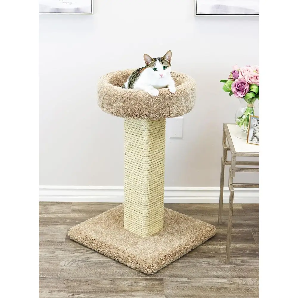 Large Solid Wood Cat Scratchin - Cat Scratching Post 评论和价格