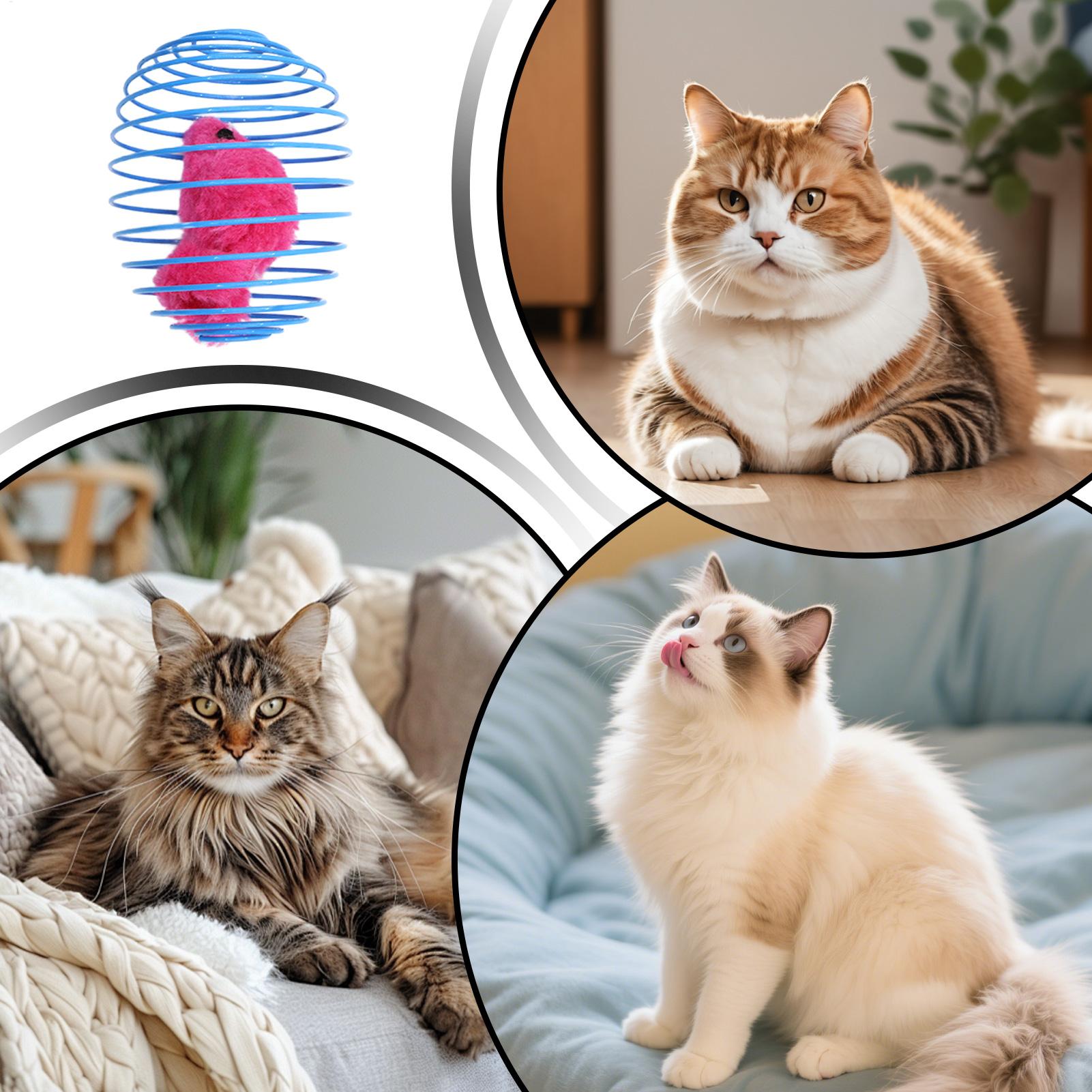 Cat Spiral Toy Interactive Fun - Cat Tunnel Toy 评论和价格