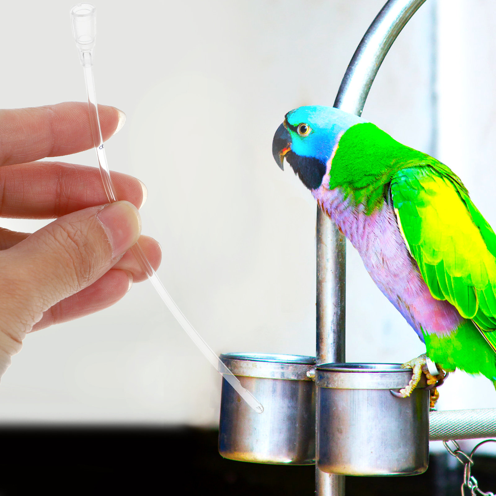 5Pcs Pet Feeding Hose Transpar - Pet Supplies Young 评论和价格