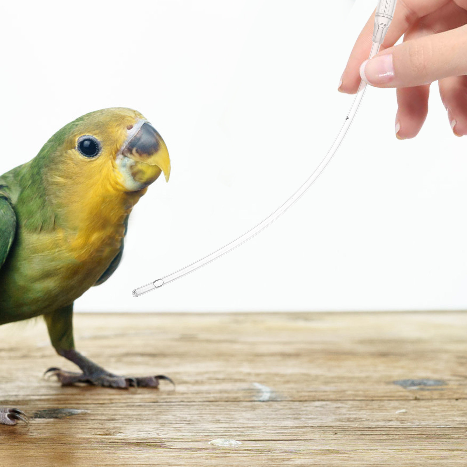 5Pcs Pet Feeding Hose Transpar - Pet Supplies Young 评论和价格